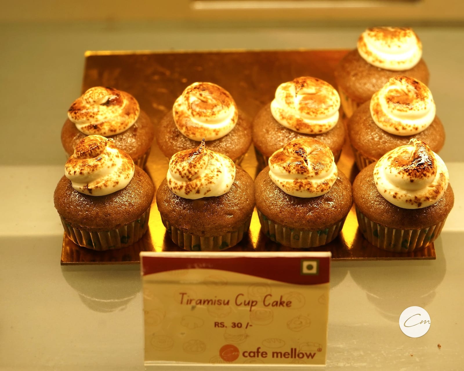 Tiramisu cupcakes dusted with cocoa